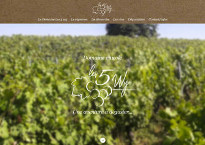 Domaine des 5 Wy